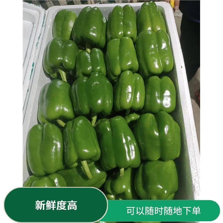 东莞望牛墩蔬菜配送公司电话 新鲜度高