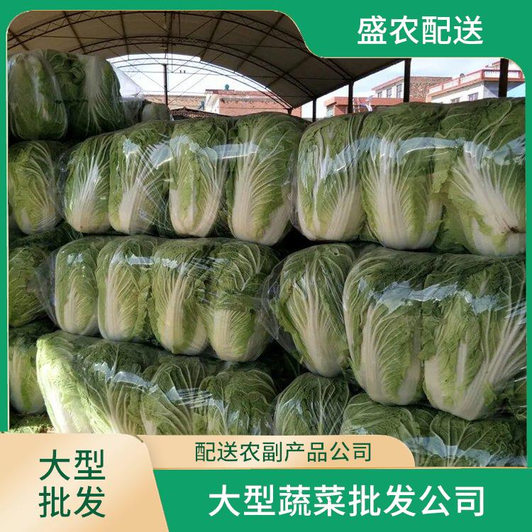 陈江饭堂食材配送服务公司 工厂食堂送菜服务 提供一站式平价蔬菜配送服务