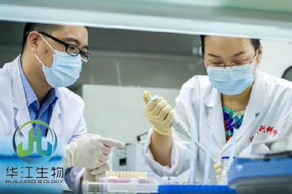江门落户亲子鉴定多少钱