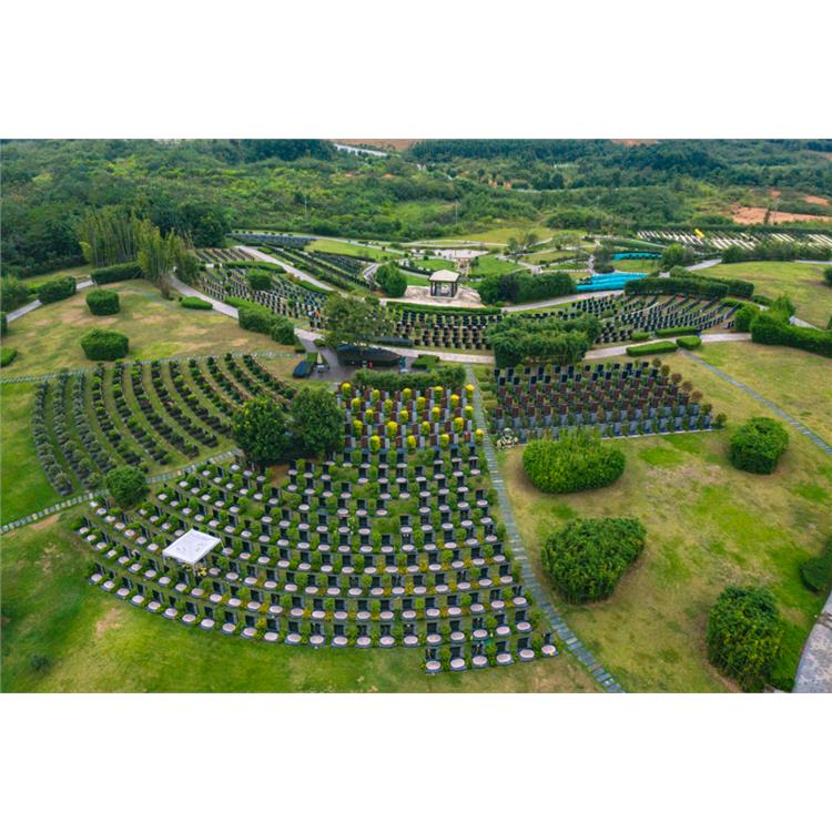 墓地 江岸区墓地 电话
