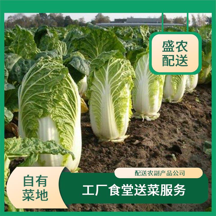 九华镇饭堂食材配送服务公司 配送农副产品公司 大型批发市场提供平价送菜服务