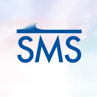 SMS软件之如何消除模型中的空值