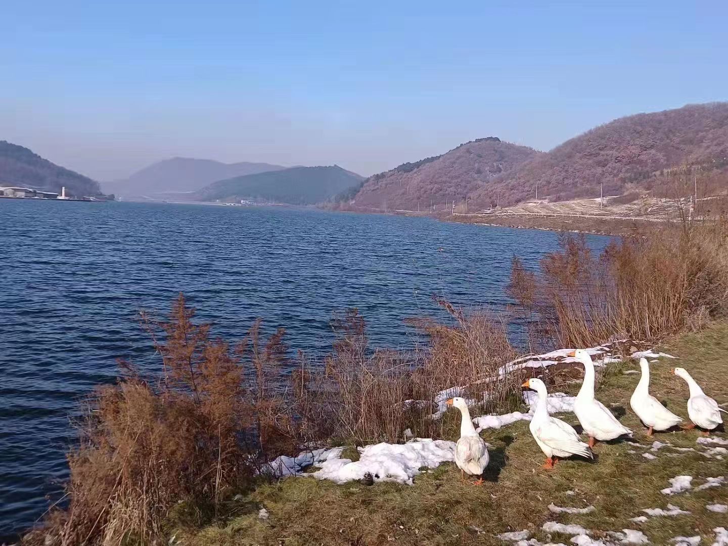 沈阳青云山墓地销售中心