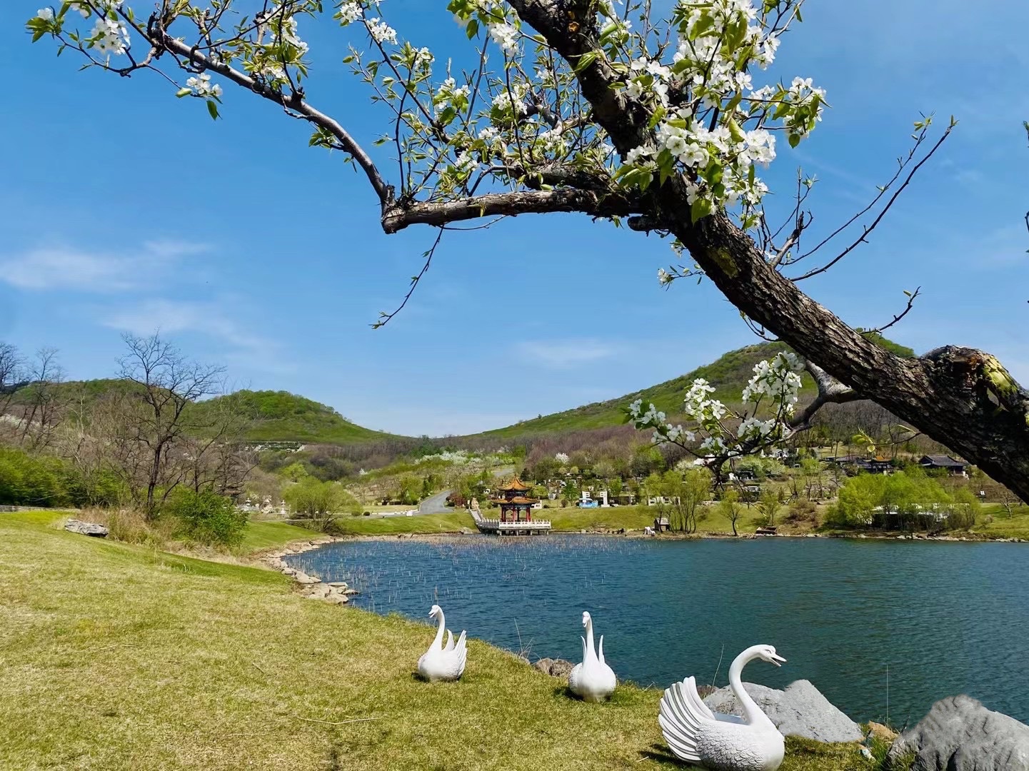 沈阳观陵山墓地园区电话