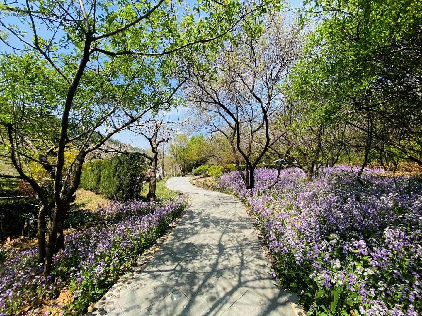 沈阳观陵山墓地地址