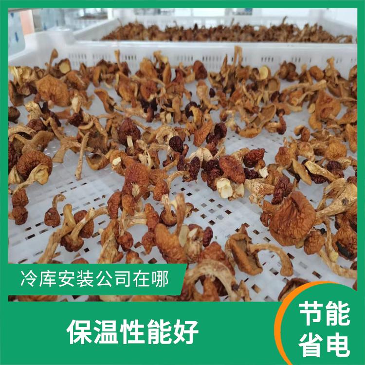 閬中雙溫庫 開江冷鏈凍庫安裝 農(nóng)產(chǎn)品基地