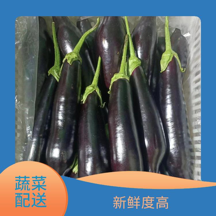 东莞麻涌蔬菜配送价格 可以随时随地下单