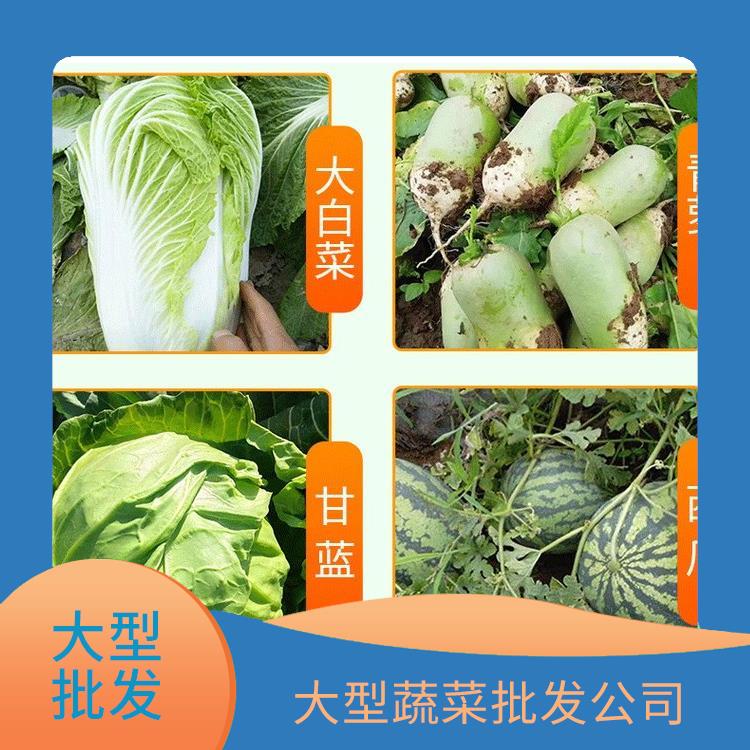 大岭山饭堂食材配送服务公司 大型蔬菜批发公司 提供一站式平价蔬菜配送服务