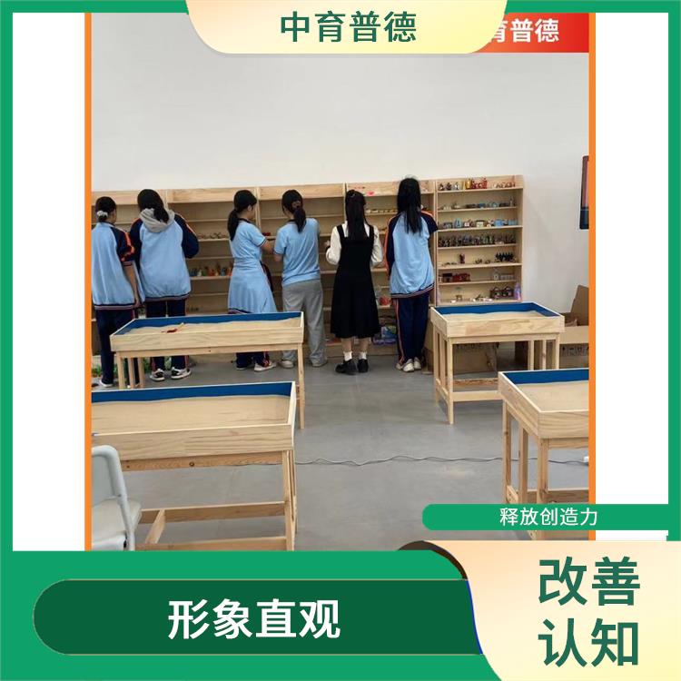 心理沙盘旗舰版 实用性强