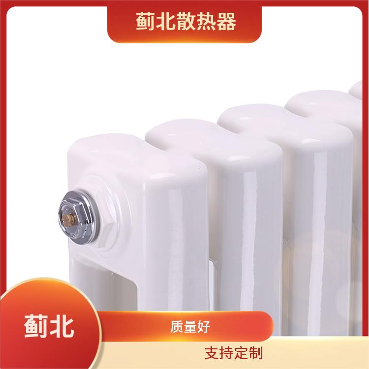 伊春铸钢暖气片 学校宿舍 GZ205