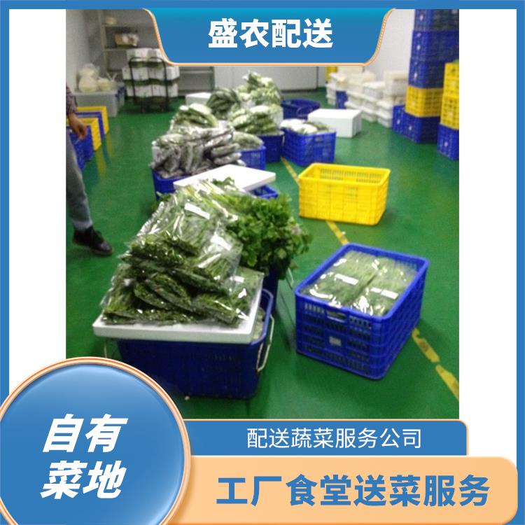 阳江饭堂食材配送服务公司 配送蔬菜服务公司 提供一站式平价蔬菜配送服务