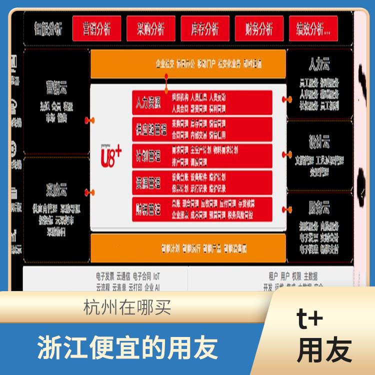 t+用友軟件_用友企業(yè)軟件管理系統(tǒng)_杭州實(shí)用的