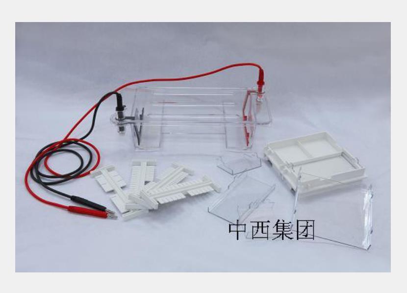 琼脂糖电泳槽 型号:BL3-DYCP-31DN