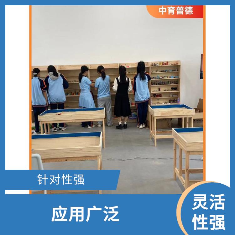 强调自发性 长沙心理沙盘设备生产厂家 趣味性十足