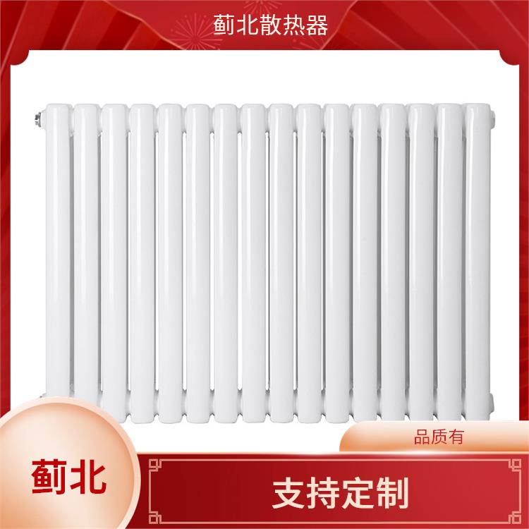 聊城钢两柱暖气片 云梯 GGZ217