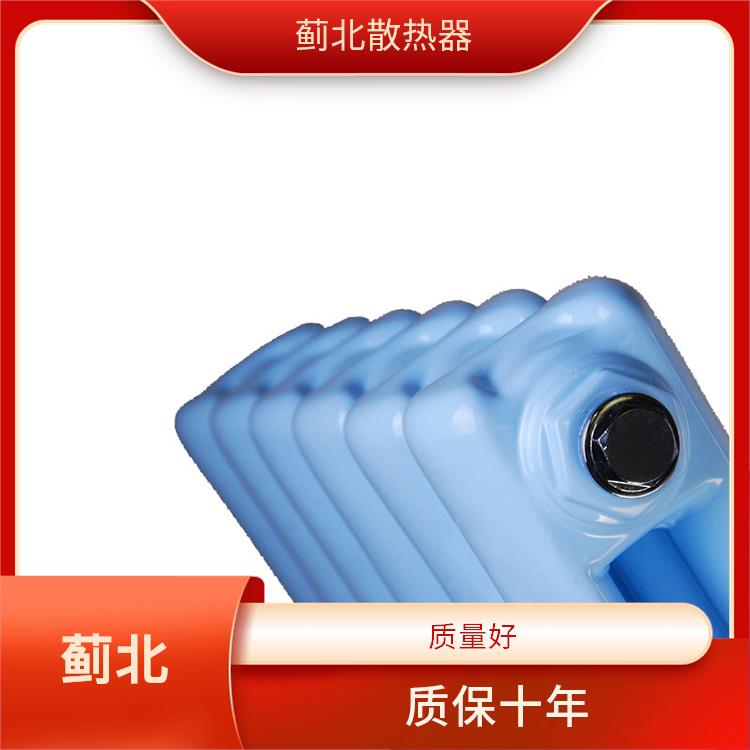 开封铸钢散热器 集中供暖 GGZ210