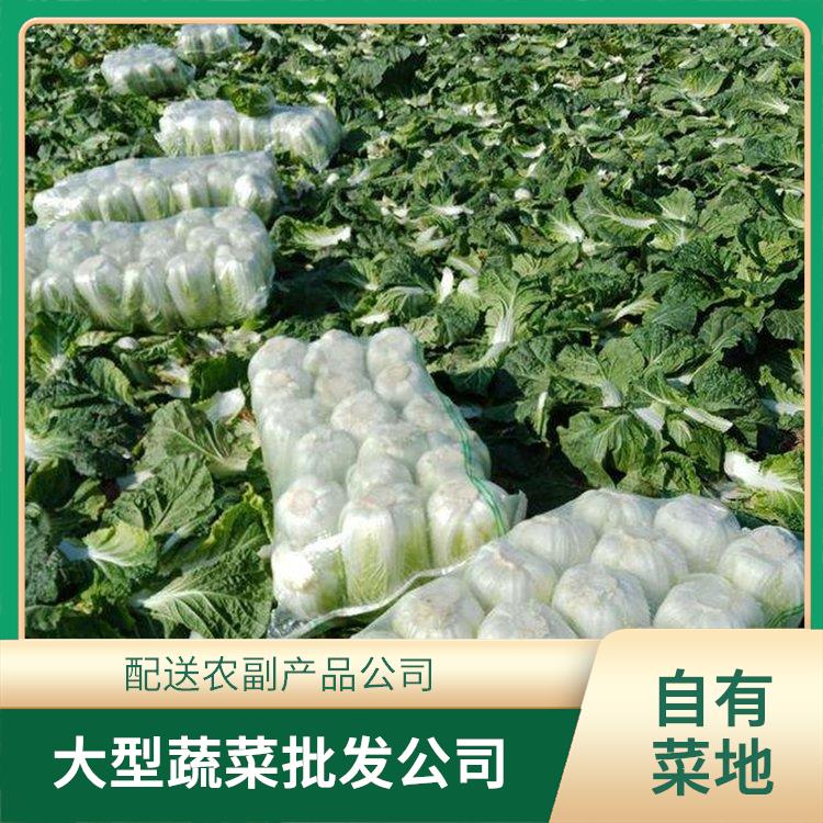 塘厦饭堂食材配送服务公司 配送蔬菜服务公司 大型批发市场提供平价送菜服务