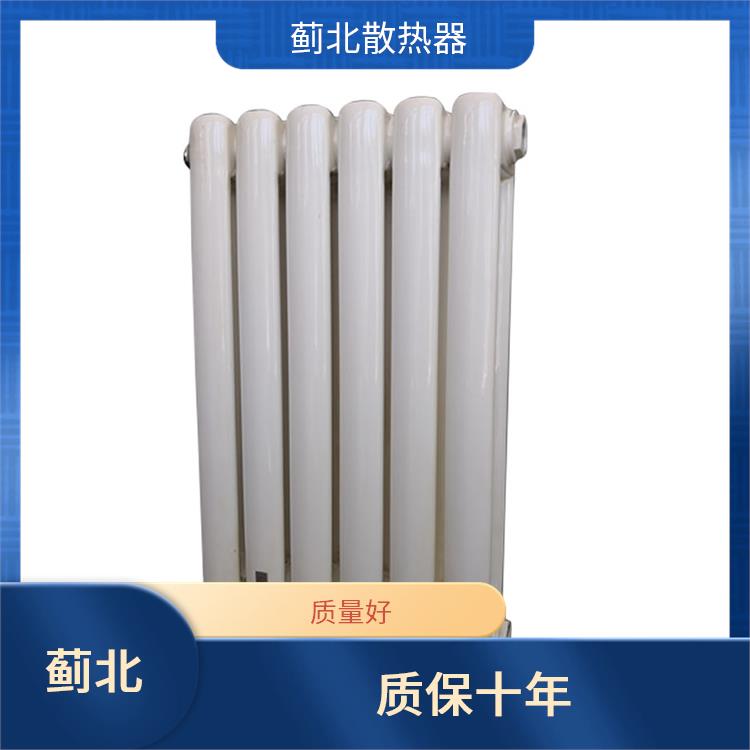 上海钢两柱散热器 供应 GGZY2-1.0/800-1.0
