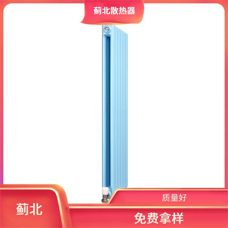 盘锦铸钢散热器 壁挂式 GZ2-1.2/19