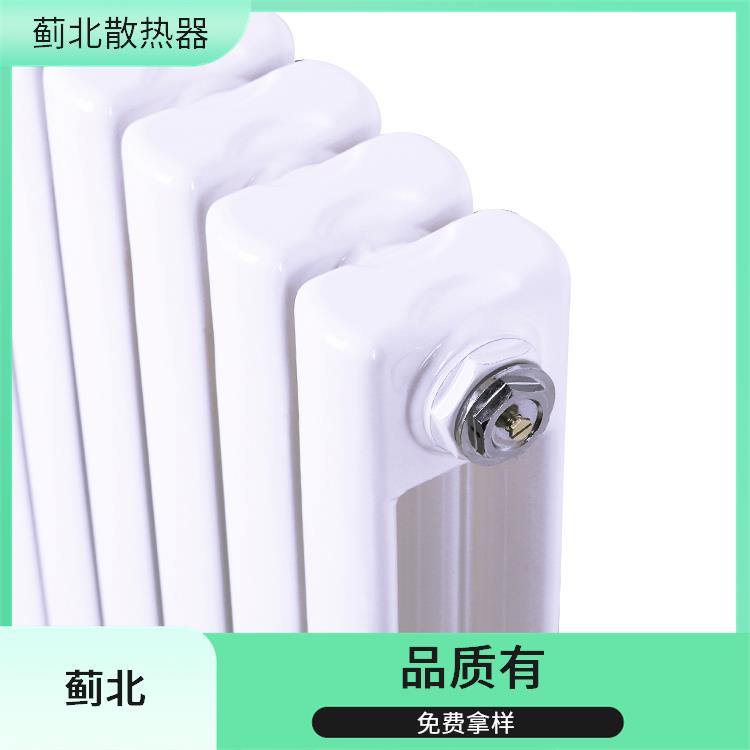 安庆6030暖气片 云梯 GZ-7030-1000