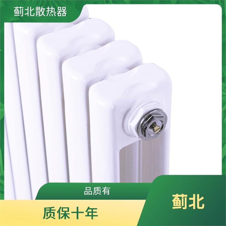 亳州铸钢散热器 直营 GZ2-300