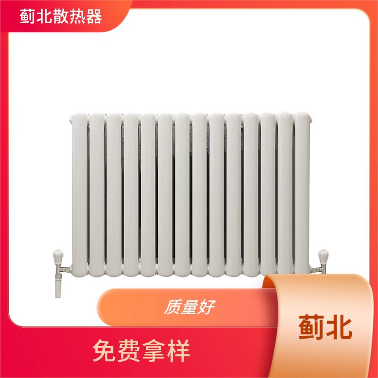滁州铸钢暖气片 厂 GGZ203