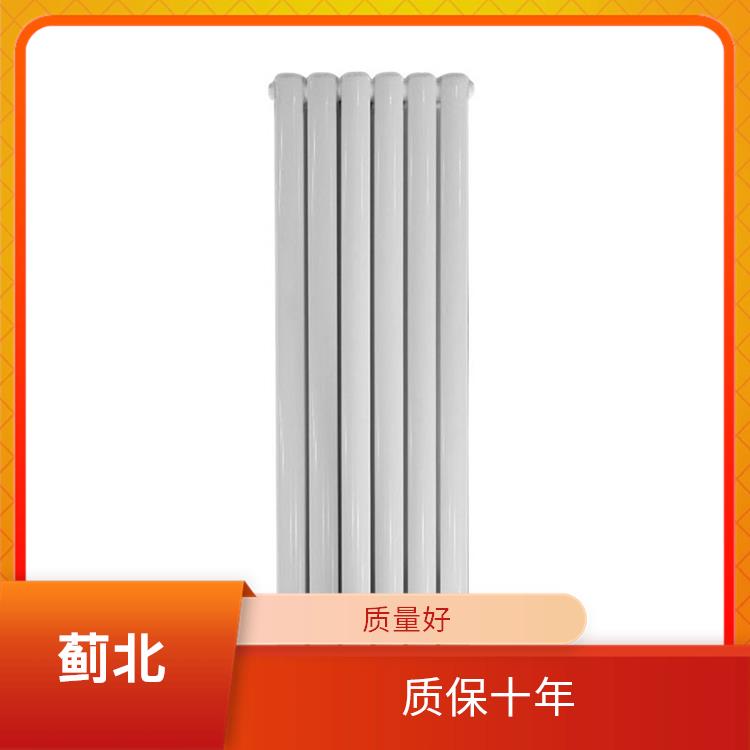 沧州铸钢散热器 厂家批发 GZ-2/1600-1.0
