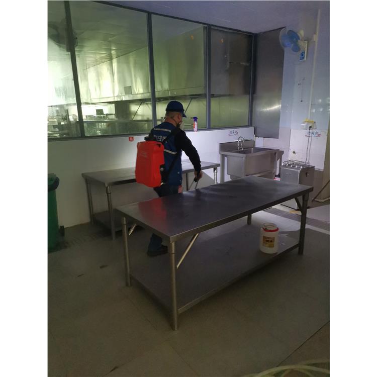 桥头宿室跳蚤防治 上门服务