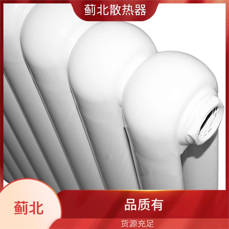 钢管柱式散热器 钢制二柱式散热器 QFGZ6030/800-1.0 水暖
