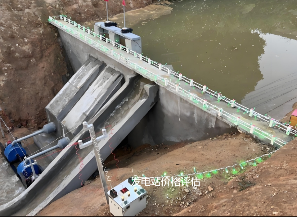 四川水电站整体资产评估停产停业损失评估