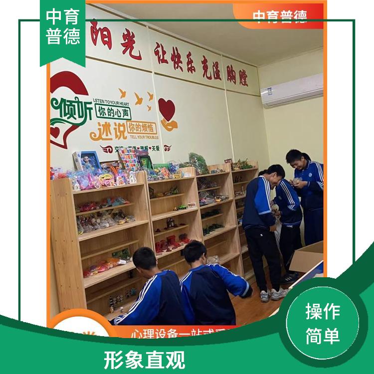 针对性强 强调自发性 长沙心理沙盘设备批发