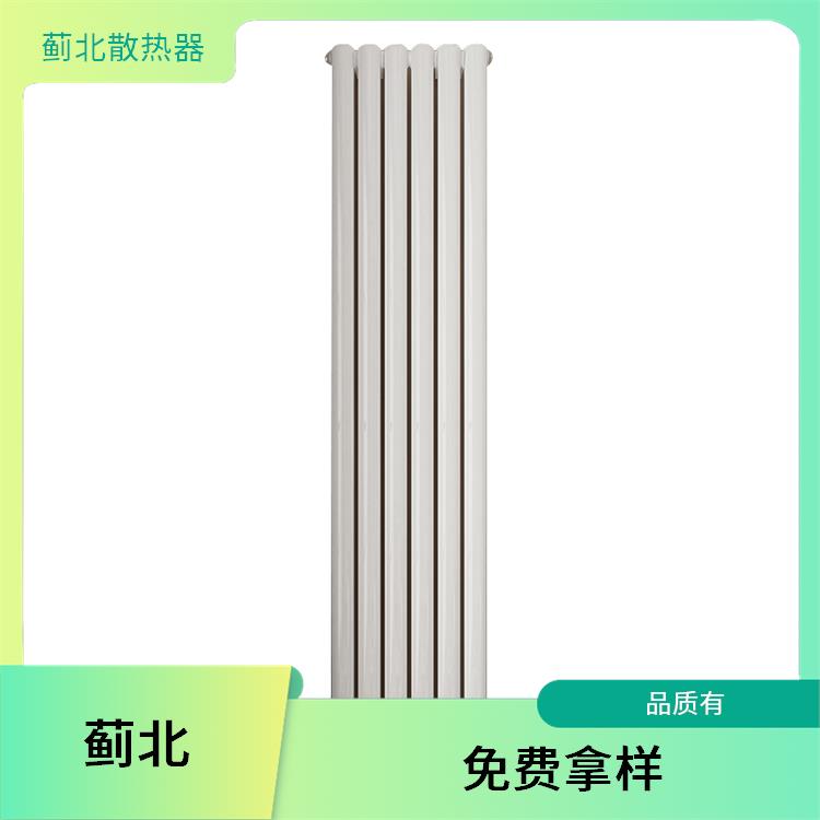 柱形散热器 钢两柱散热器 SCGGZY2-1.0/1100-1.0 家用