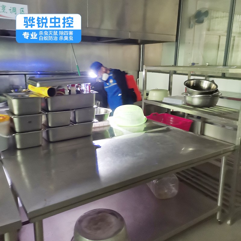 平山灭鼠方法 工厂杀虫灭鼠灭蚊