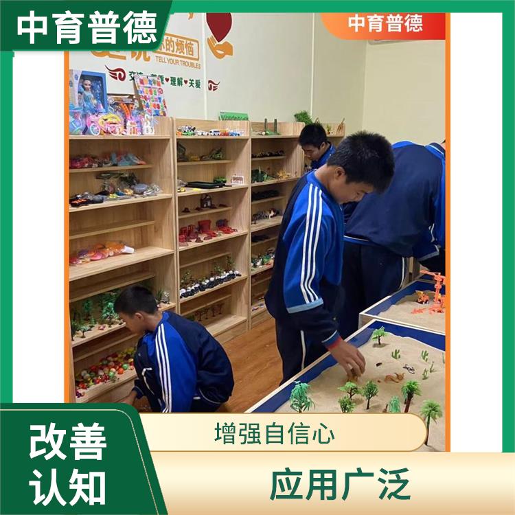 发挥自主性 长沙心理沙盘设备定制 应用广泛