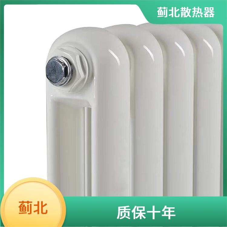 钢管散热器 钢制双片头暖气片 GZ7030/900-1.0 精选