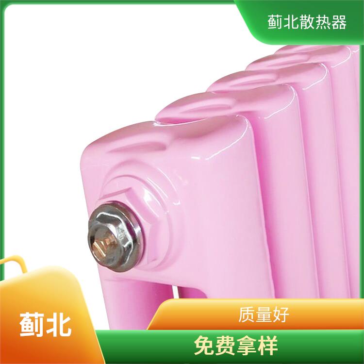 钢管散热器 钢制双片头暖气片 GZ7030/900-1.0 精选