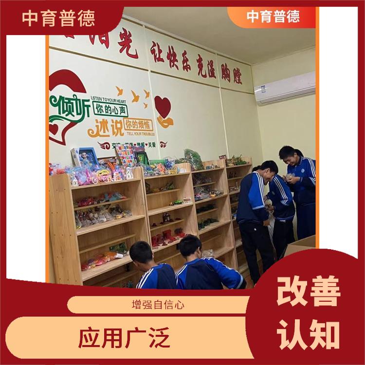 释放不良情绪 长沙心理沙盘设备批发 趣味性十足
