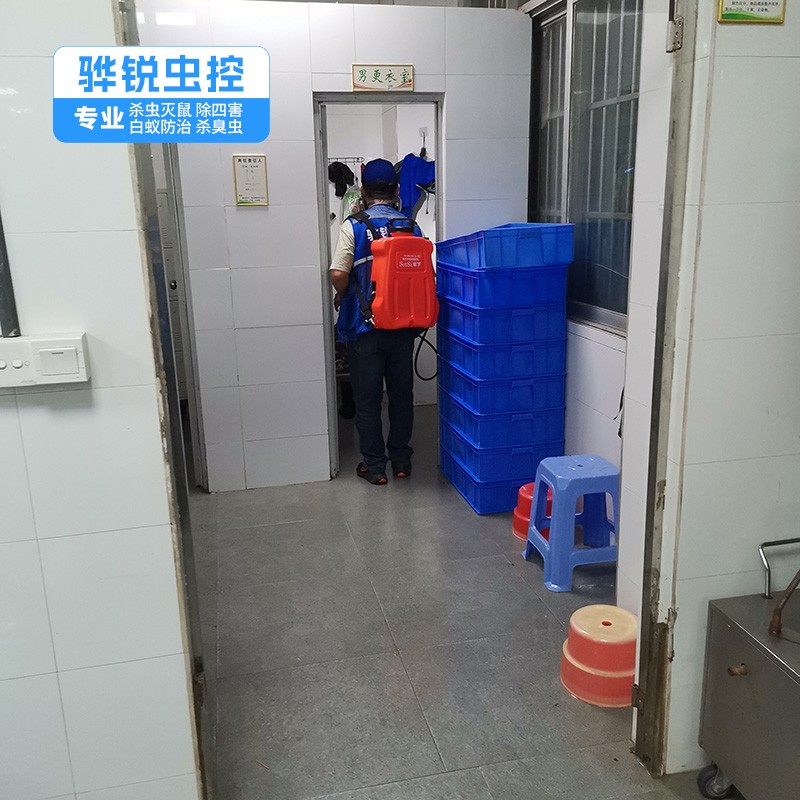 海丰杀虫灭鼠公司 宿舍杀臭虫 服务