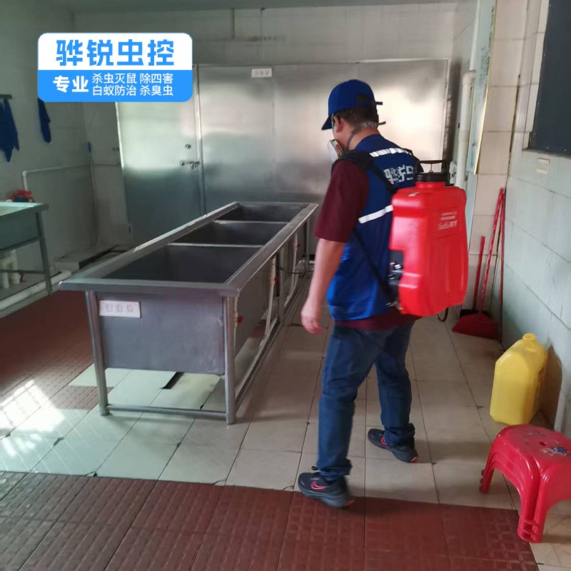 谢岗工厂灭鼠公司 杀蚊子 团队