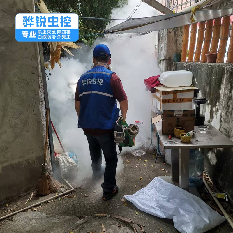 城东除四害公司 宿舍杀臭虫 无残留