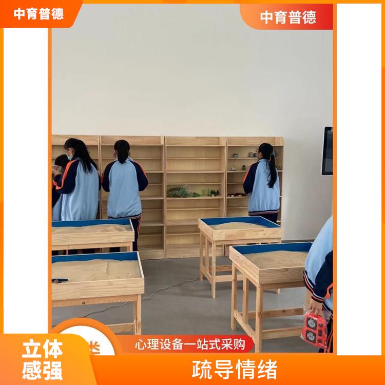 实用性强 培养自主创新的能力 心理沙盘设备生产厂家