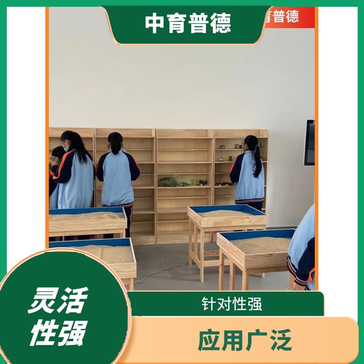 心理沙盘基础版 释放创造力