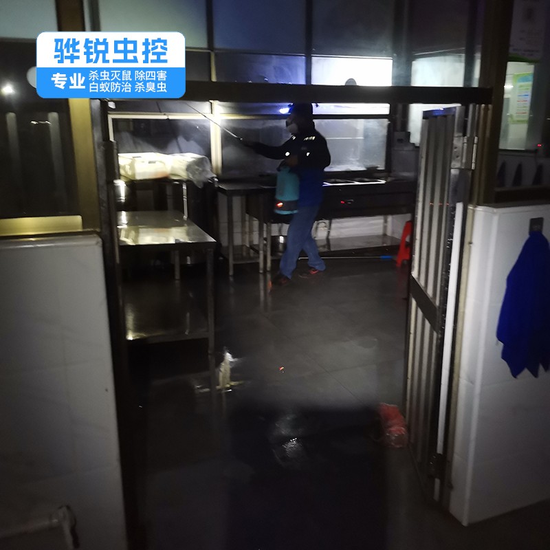 附城杀虫灭鼠公司 灭饭堂蟑螂 服务