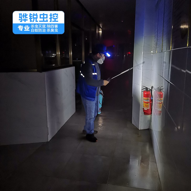 大湖灭苍蝇公司 灭饭堂蟑螂 上门快