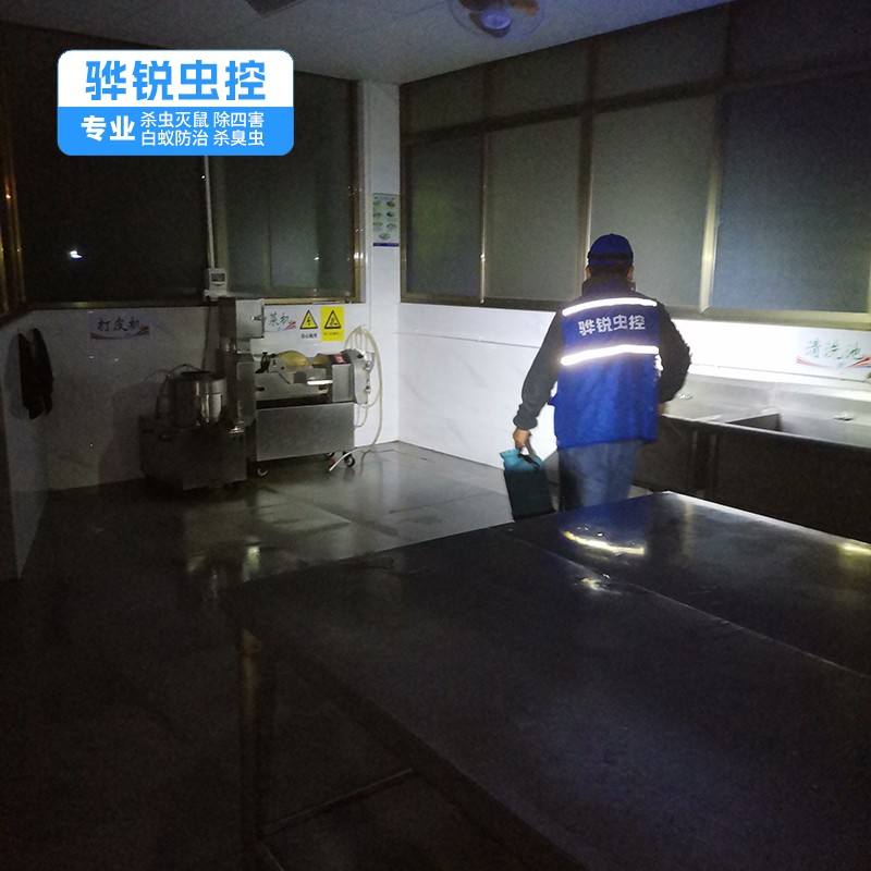 增城白蚁防治服务 宿舍杀臭虫除蟑螂