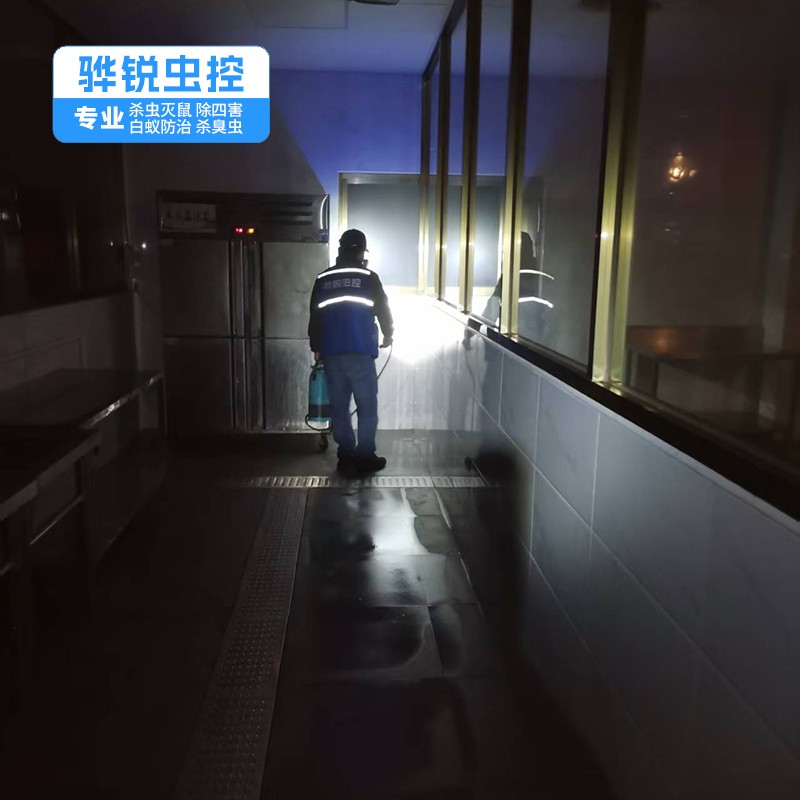 望牛墩灭鼠中心 工厂灭鼠 灭蝇