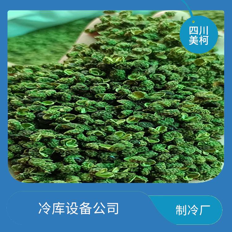 江陽(yáng)小型冷庫(kù) 元壩凍庫(kù)壓縮機(jī)安裝 蔬菜
