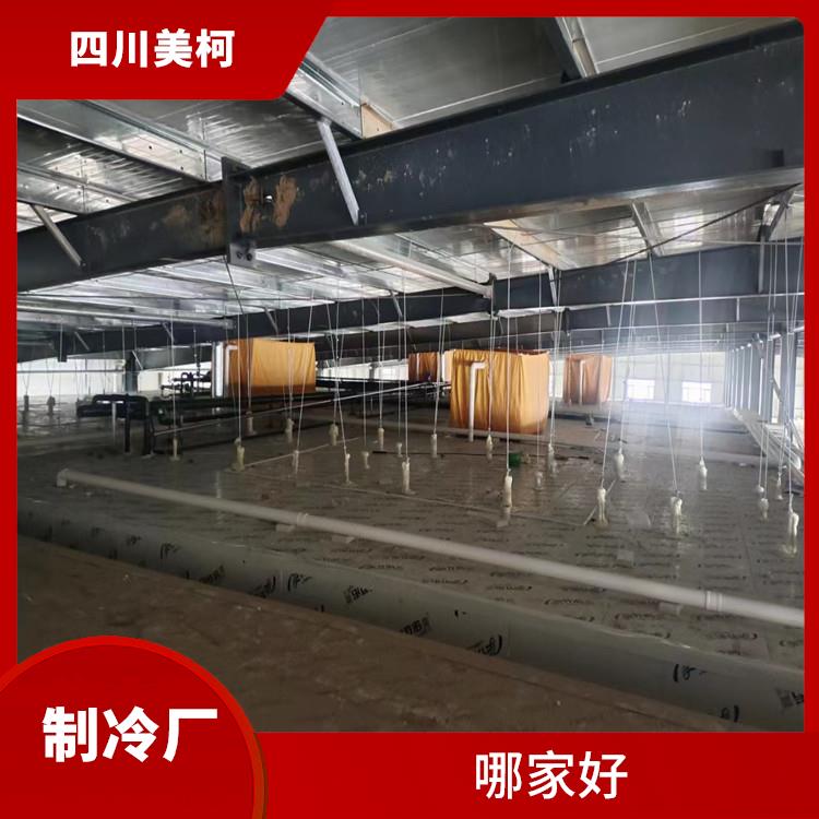 綿竹小型凍庫 中江凍庫冷風(fēng)機設(shè)計 農(nóng)業(yè)基地