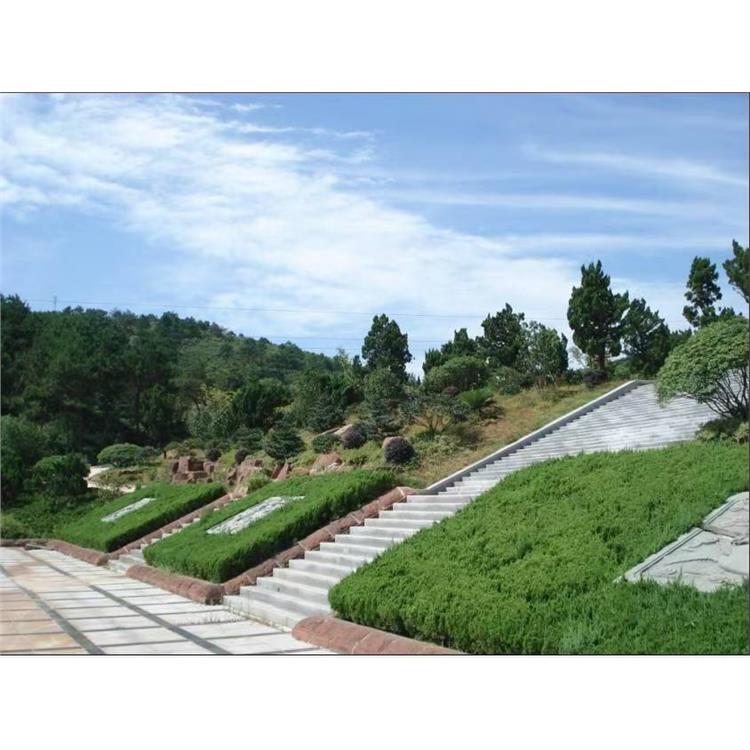 洪山区墓地一条龙服务