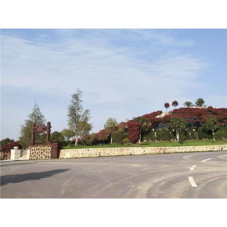 江岸区墓地机构 墓园静地
